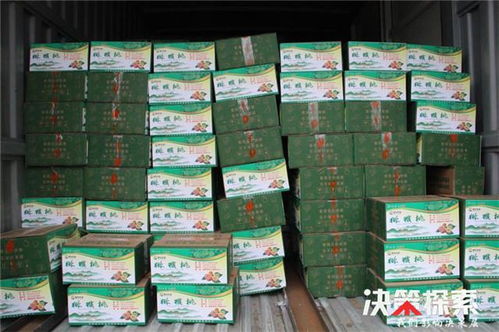 警民攜手 共克時艱 愛心企業為新野公安民警 輔警捐贈防護用品和生活物資